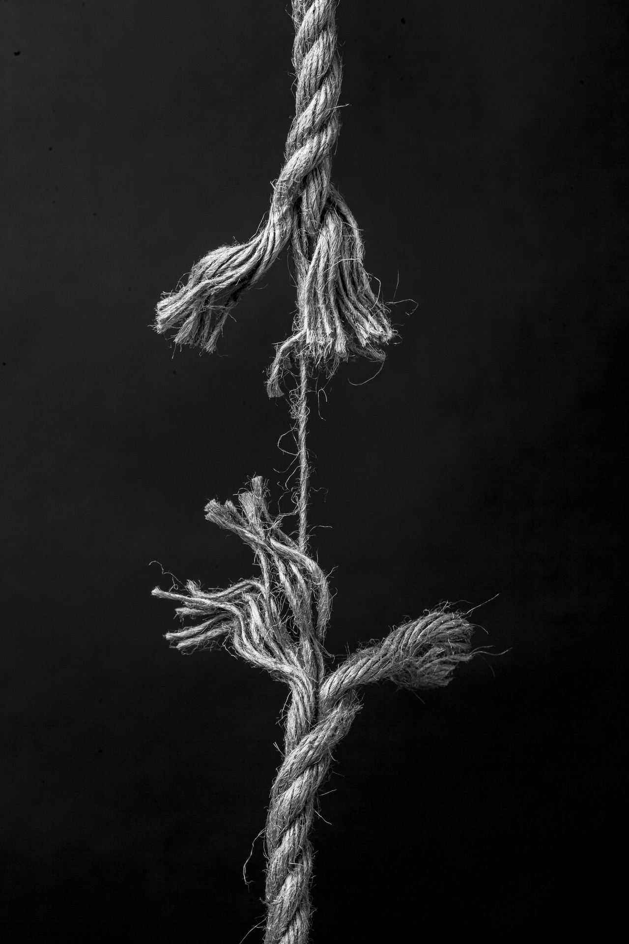 Photograph by Gareth Reed, 02