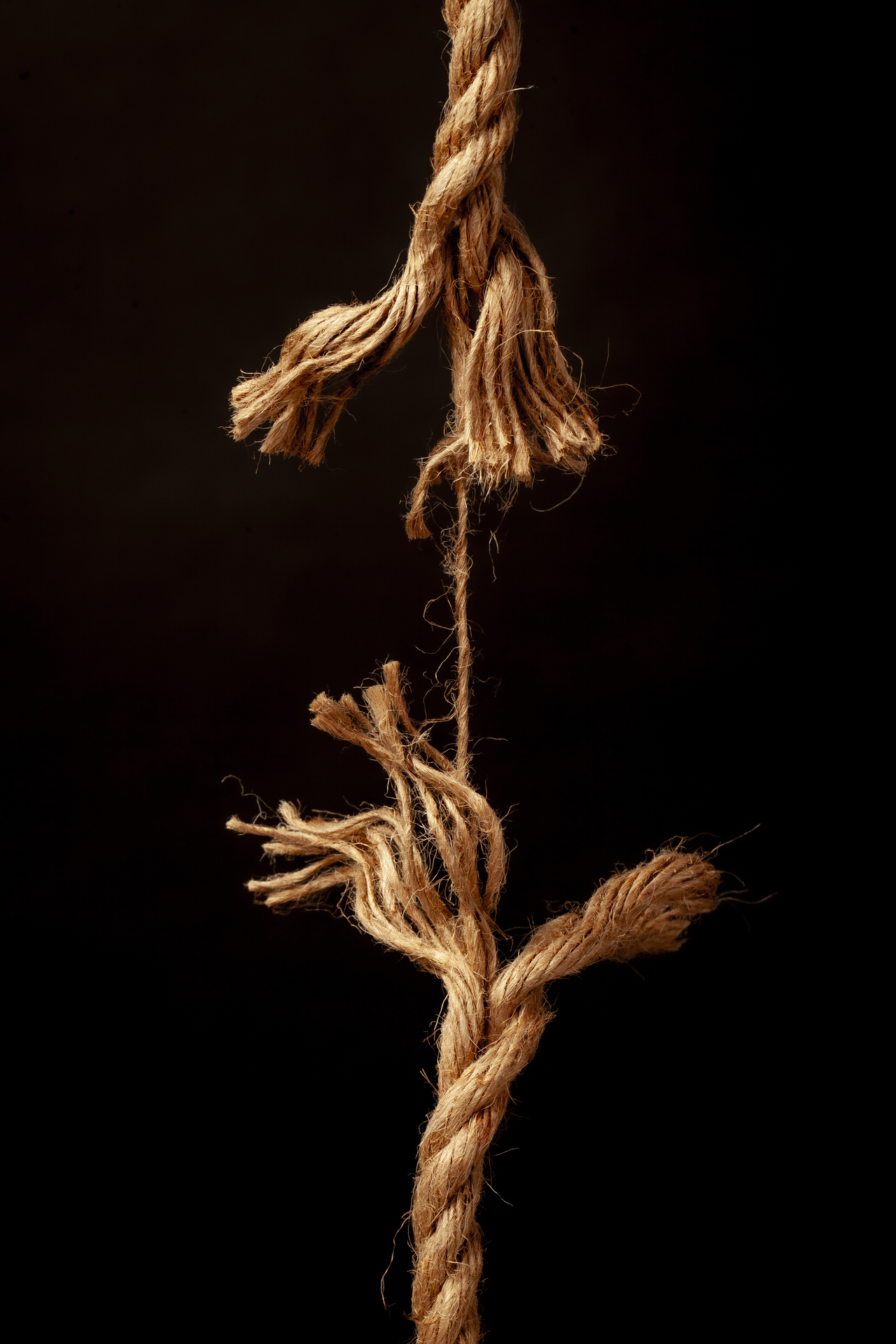 Frayed rope 1